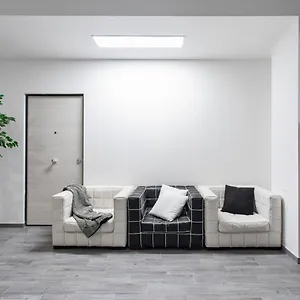 Olimpia House Bolonia